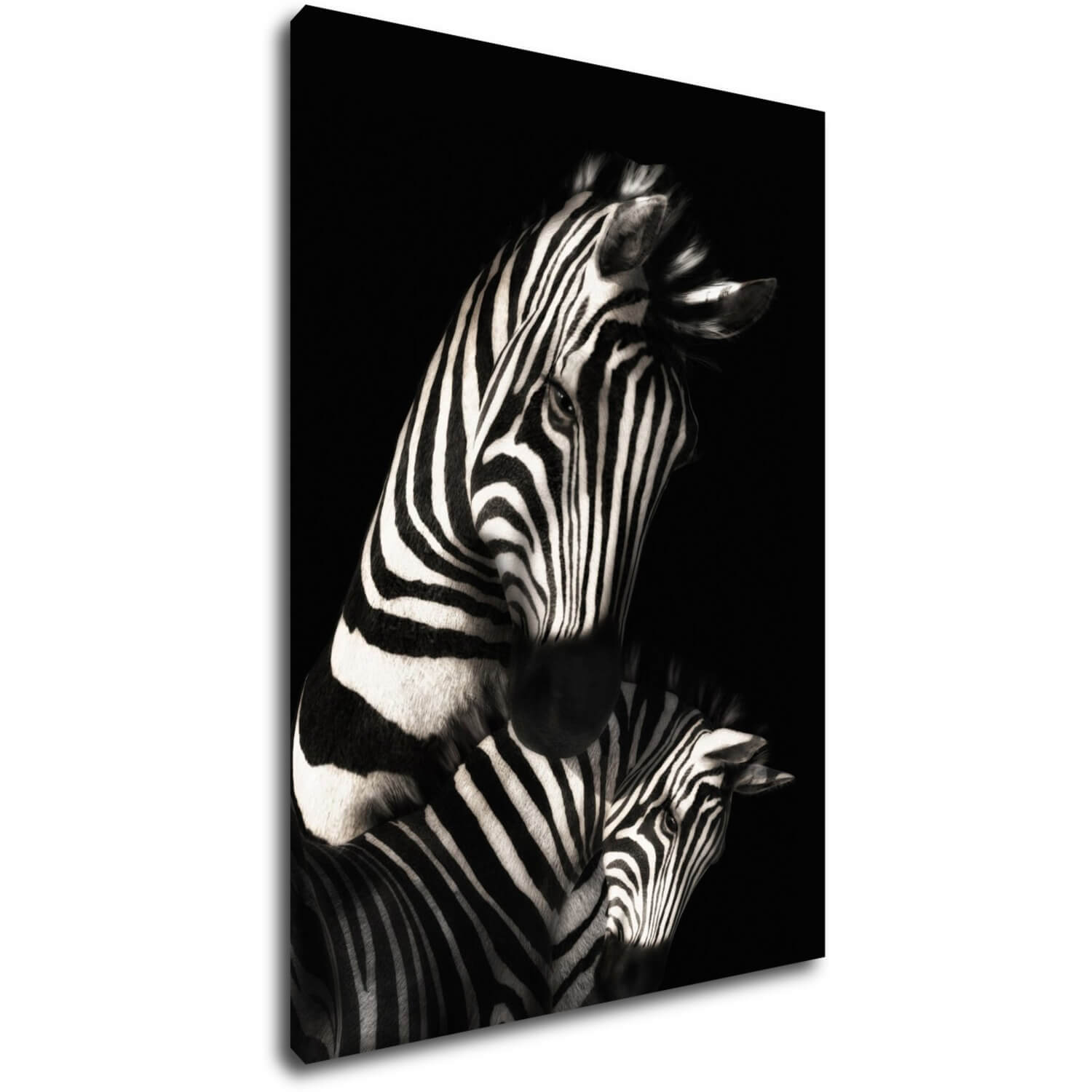 Obraz Zebry čiernobiele - 50 x 70 cm